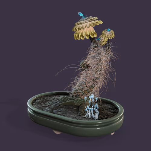 Evolvingforest