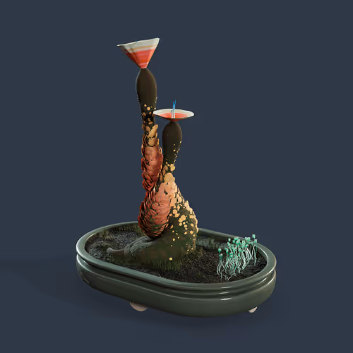 Evolvingforest