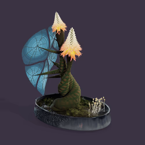 Item #11 Media