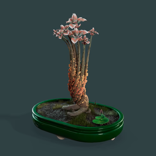 Item #553 Media