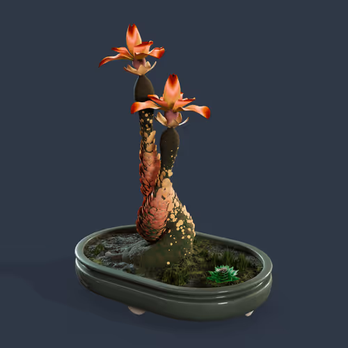 Evolvingforest