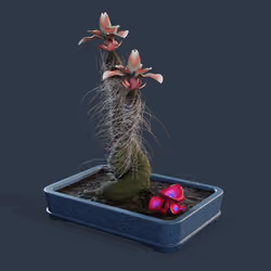 Evolving Forest #8309