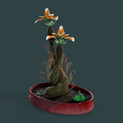 Item #8673 Media