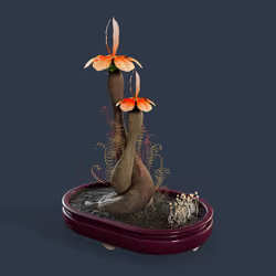 Evolving Forest #223