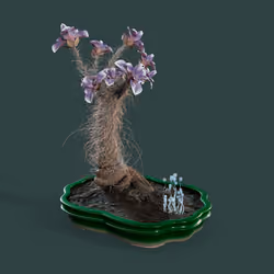 Evolving Forest #426