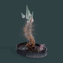 Evolving Forest #1250