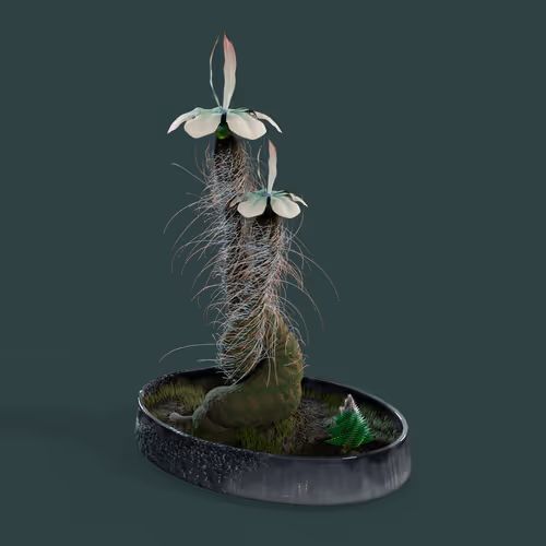 Evolvingforest