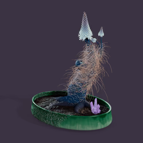 Evolving Forest #4849