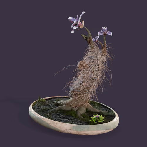 Evolving Forest #9319