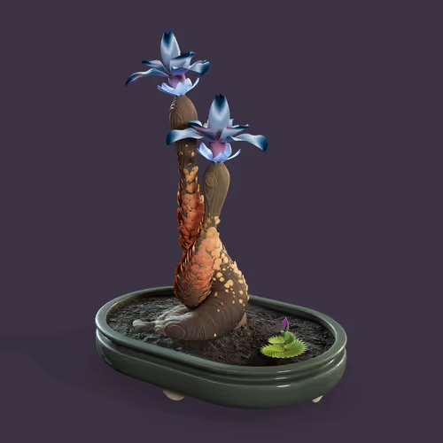 Item #8591 Media