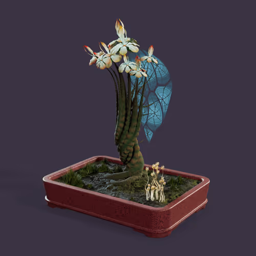 Evolvingforest