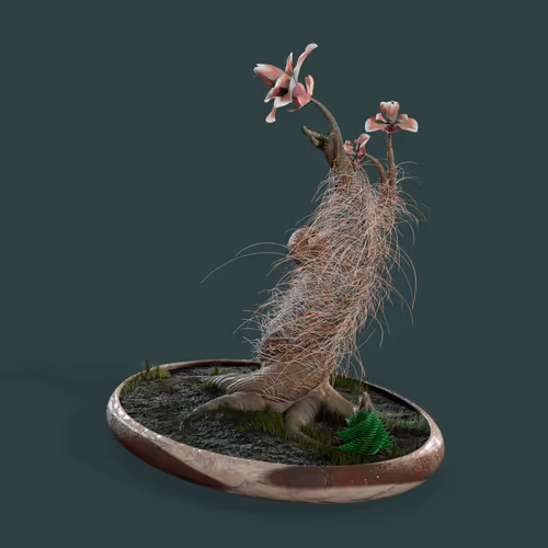 Evolvingforest