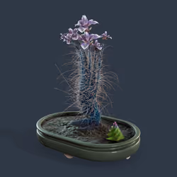 Evolving Forest #6506