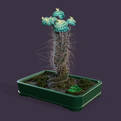Evolvingforest