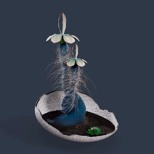 Evolvingforest