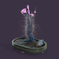 Evolving Forest #147
