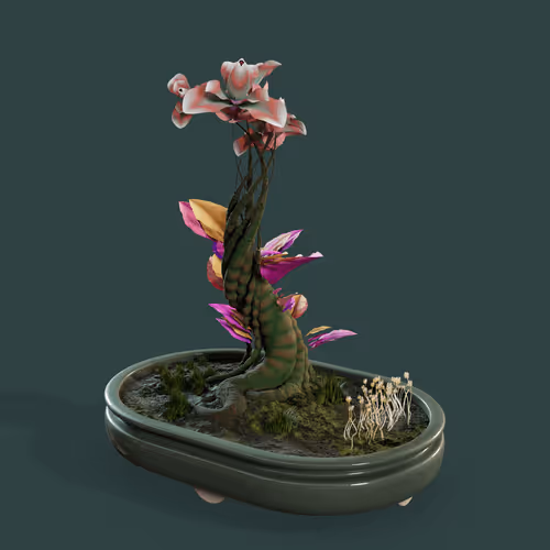 Item #3581 Media