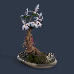 Evolving Forest #4914