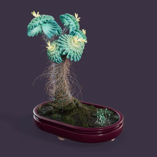 Evolvingforest