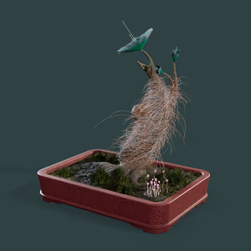 Evolvingforest