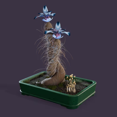 Evolvingforest