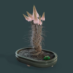 Evolving Forest #7829