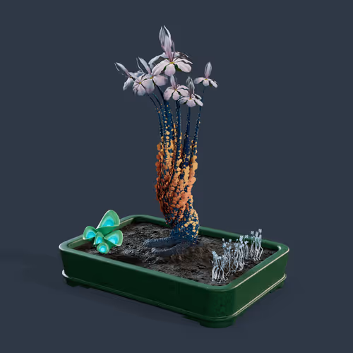 Evolvingforest