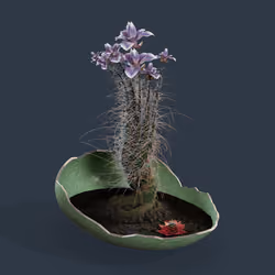 Evolving Forest #1428