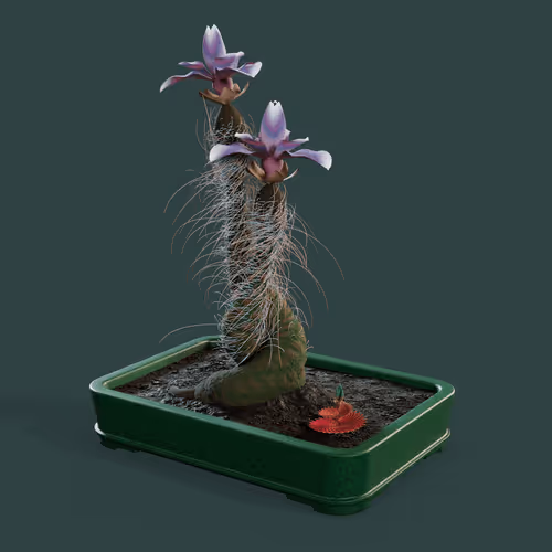 Evolvingforest