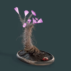 Evolving Forest #8068