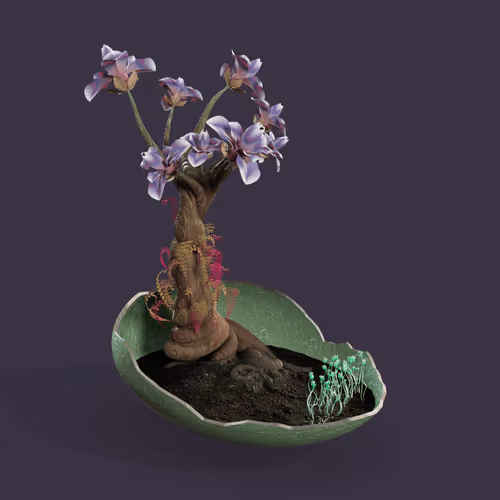 Item #5728 Media