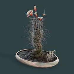 Evolving Forest #5715