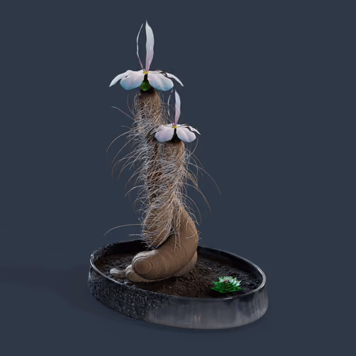 Evolving Forest #9317