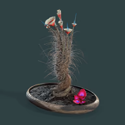 Evolving Forest #6000