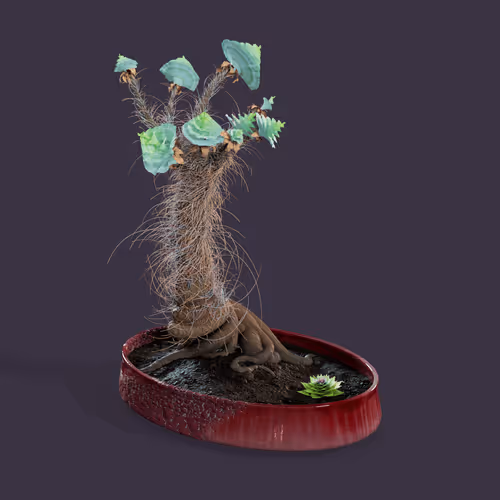 Evolvingforest