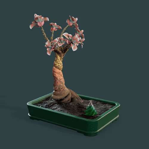 Evolvingforest
