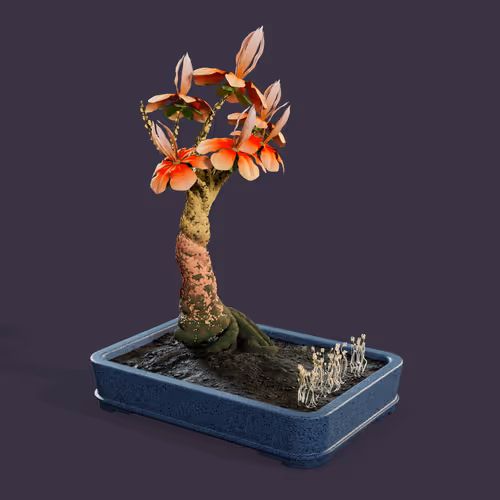 Evolvingforest