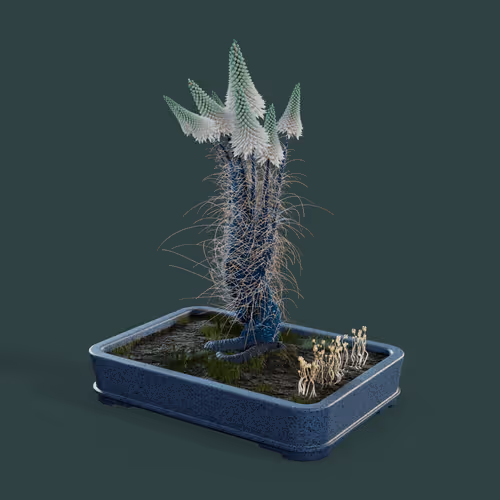 Evolvingforest