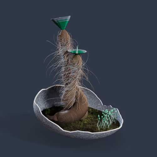 Evolvingforest