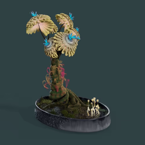 Evolvingforest