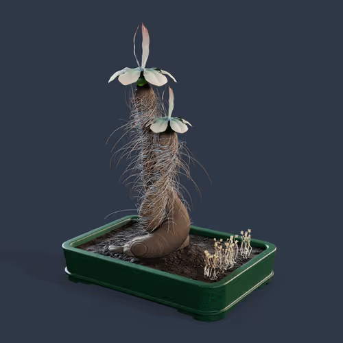 Evolvingforest
