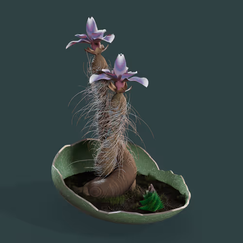 Evolvingforest