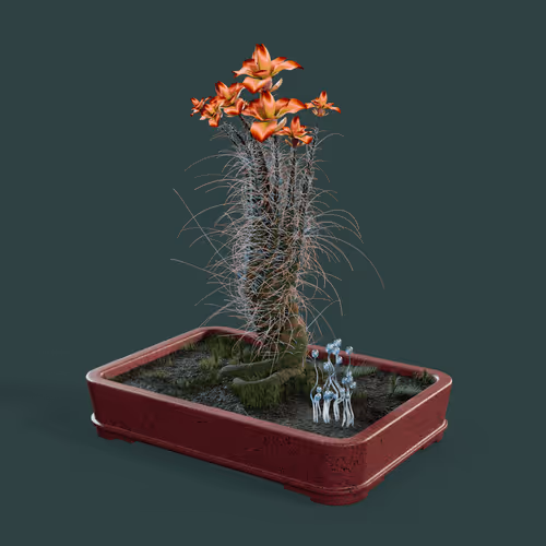 Evolvingforest