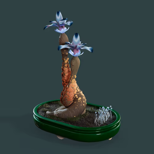 Evolvingforest
