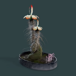Evolving Forest #8979