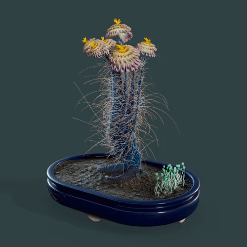 Evolvingforest