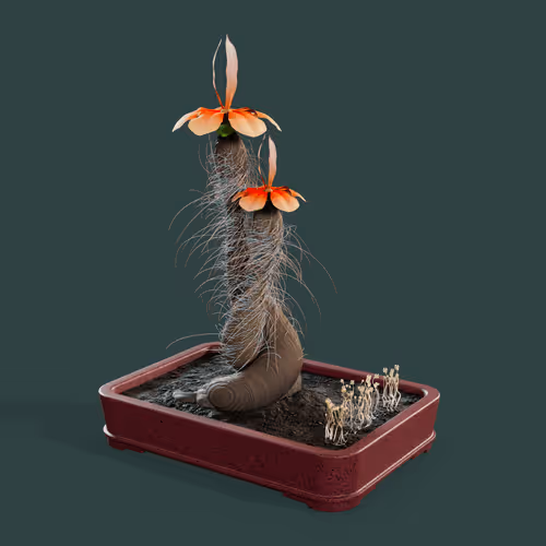 Evolvingforest