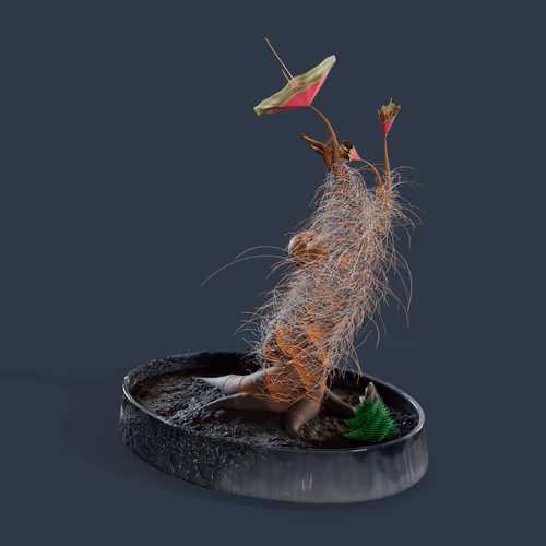 Evolving Forest #8585