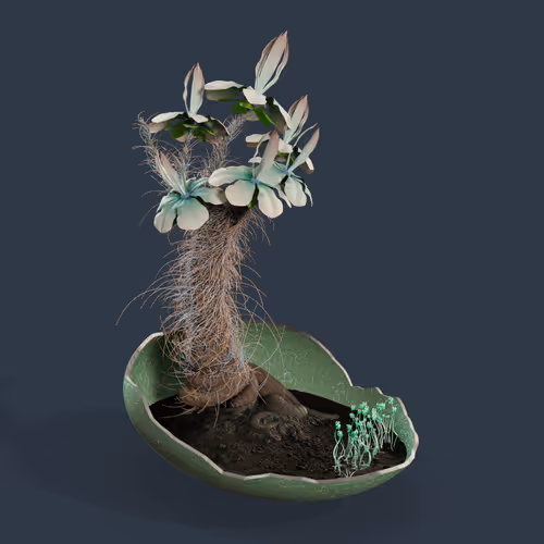 Evolvingforest