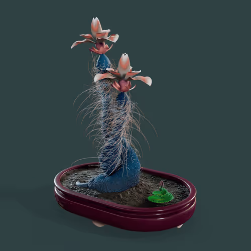 Evolvingforest